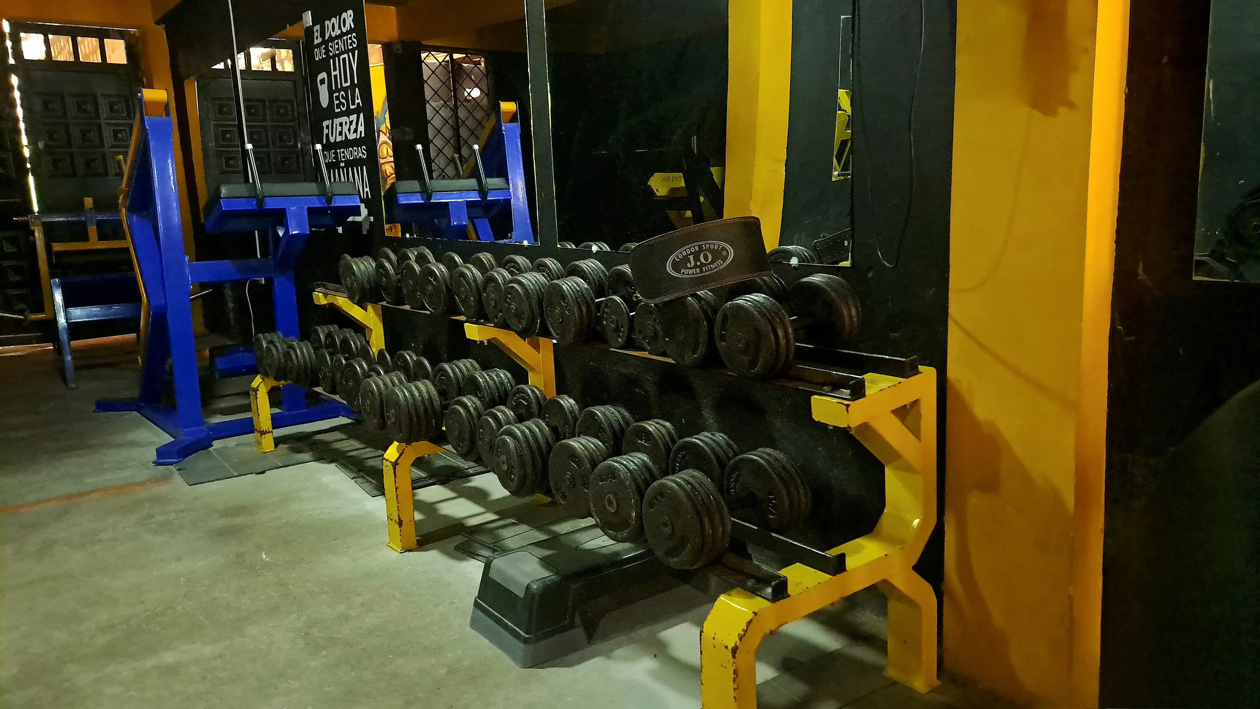 Imagen de las mancuernas